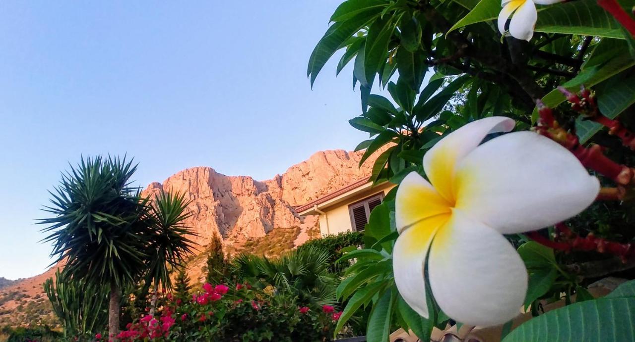 Ciuri Ri Zagara Bed & Breakfast Cinisi Exterior photo